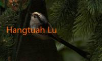 Hangtuah Luncurkan Merchandise Eksklusif Edisi 2025 