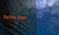 Pelita Jaya Dominasi Statistik di Setiap Laga Playoff 